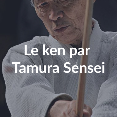 le Ken par Tamura Sensei